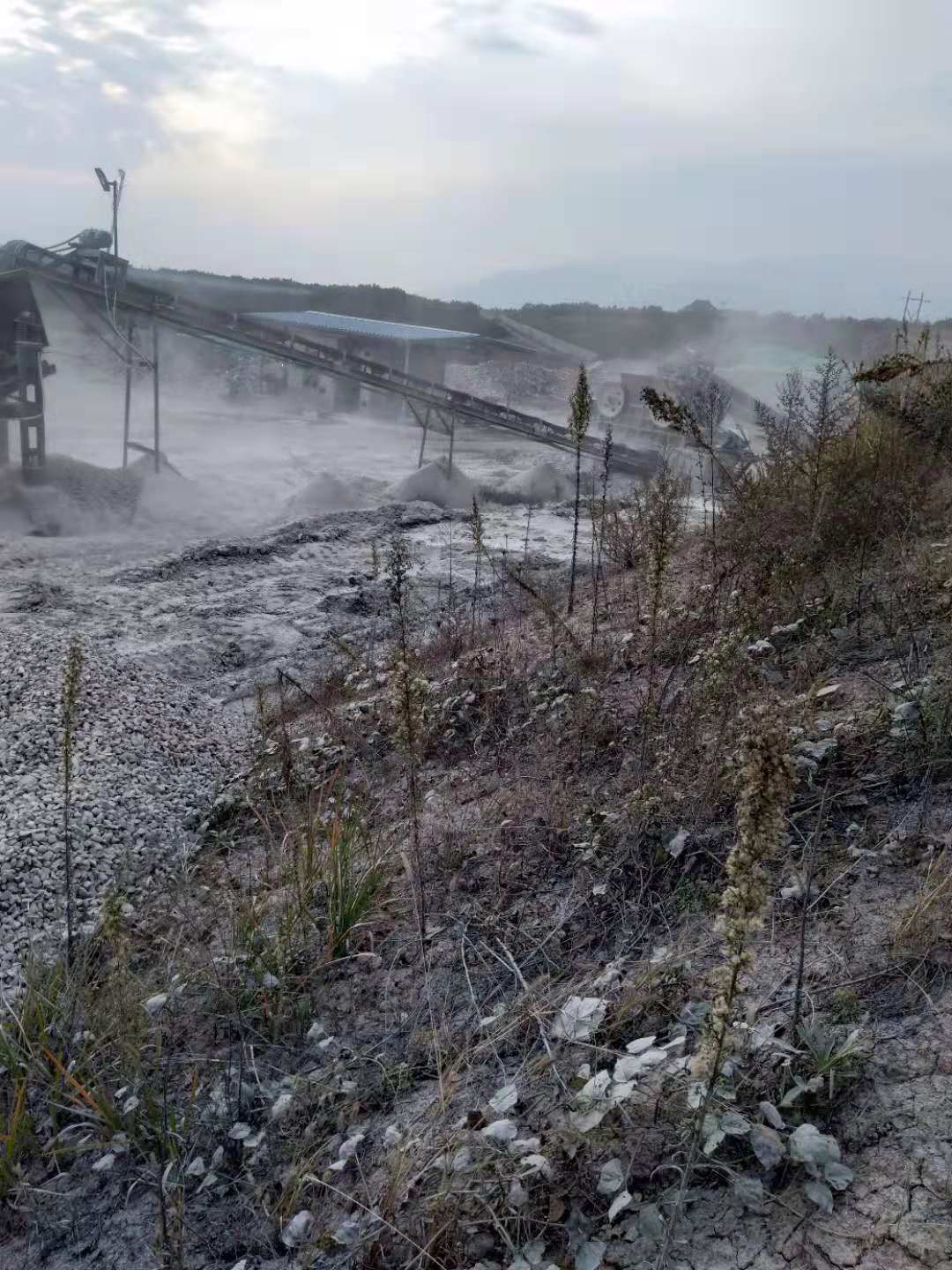 汉中城固桔园镇二方湾村环境污染问题严重