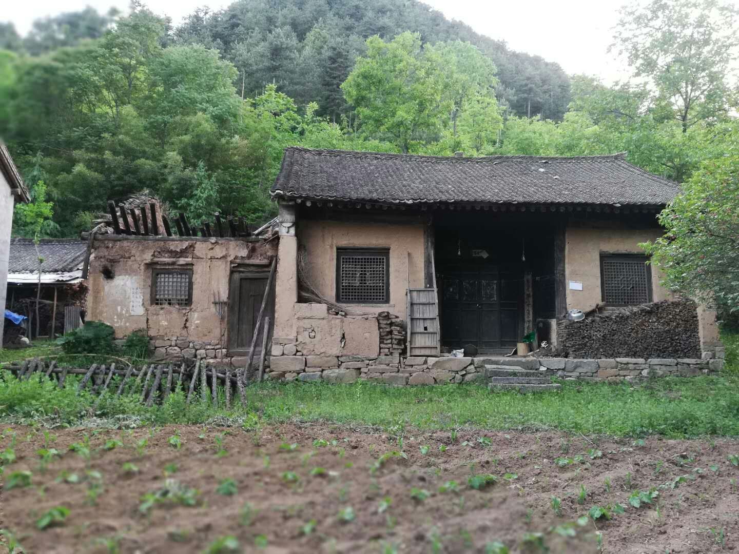 陕西洛南县农村图片