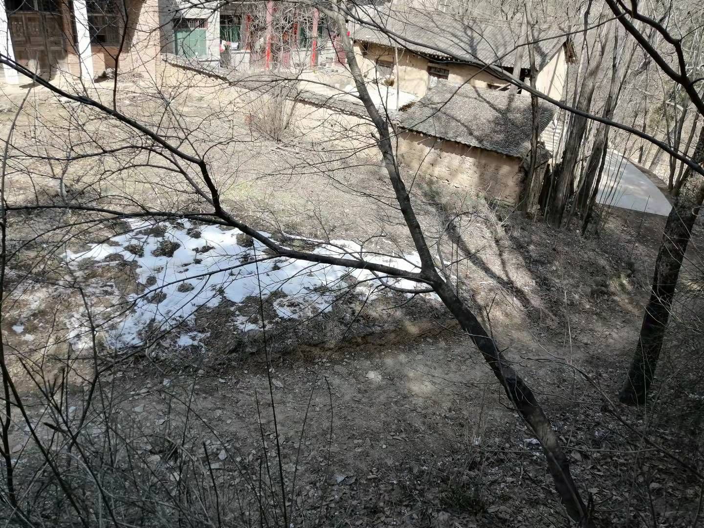 洛南上河村村村通修路不到位路面坑洼