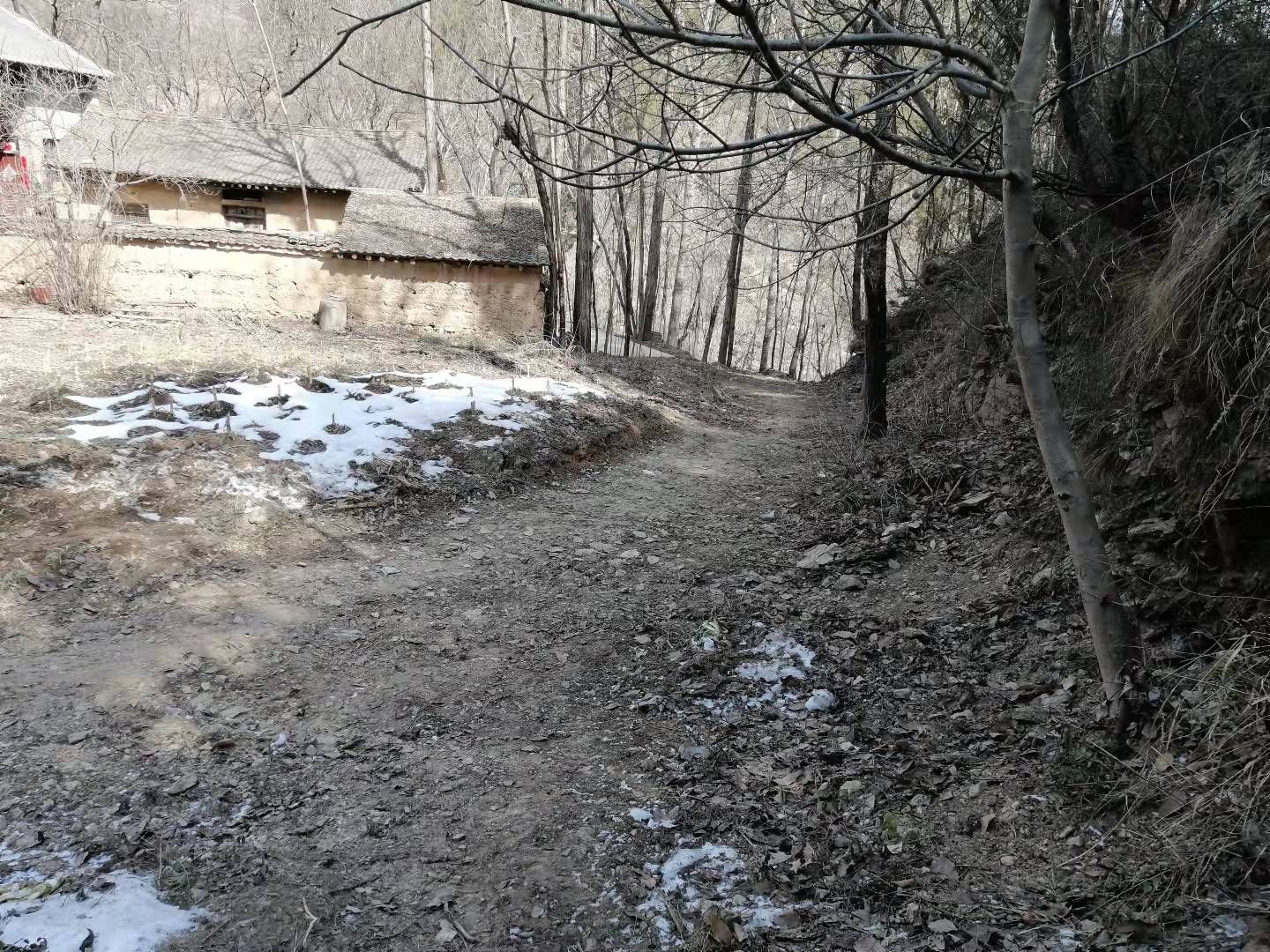 洛南上河村村村通修路不到位路面坑洼